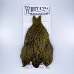 Whiting Brahma Hen Cape For Soft Hackles -Angler Gear Shop 53F9F3BD AD90 4D60 904D 73083A2E1467