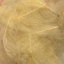 TroutHunter Premium Bulk CDC -Angler Gear Shop IMG 5014