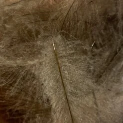 TroutHunter Premium Bulk CDC -Angler Gear Shop IMG 5015