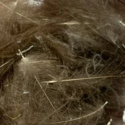 TroutHunter Premium Bulk CDC -Angler Gear Shop IMG 5016