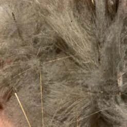 TroutHunter Premium Bulk CDC -Angler Gear Shop IMG 5018