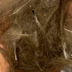 TroutHunter Premium Bulk CDC -Angler Gear Shop IMG 5031 c1992016 9d1b 42ca b1f7 fb043cd953de