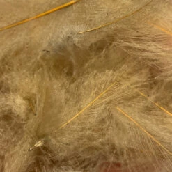 TroutHunter Premium Bulk CDC -Angler Gear Shop IMG 5036 8942e70f 71a5 4598 bdfb aefaf5b67d04