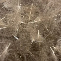 Swiss CDC Super Select Grade -Angler Gear Shop IMG 6403