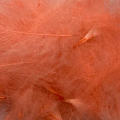 Swiss CDC Super Select Grade -Angler Gear Shop IMG 6407