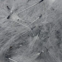 Swiss CDC Super Select Grade -Angler Gear Shop IMG 6409