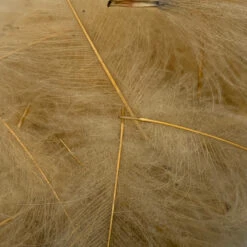 Swiss CDC Super Select Grade -Angler Gear Shop IMG 6411