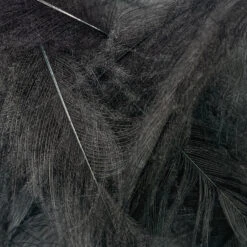 Swiss CDC Super Select Grade -Angler Gear Shop IMG 6434