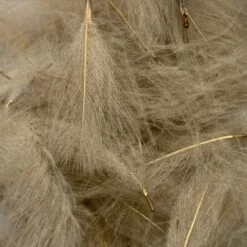 Swiss CDC Super Select Grade -Angler Gear Shop IMG 6435