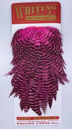 Whiting Red Label Hen Saddle -Angler Gear Shop IMG 9181