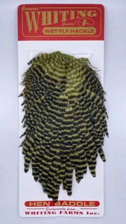 Whiting Red Label Hen Saddle -Angler Gear Shop IMG 9182