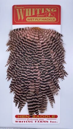 Whiting Red Label Hen Saddle -Angler Gear Shop IMG 9184