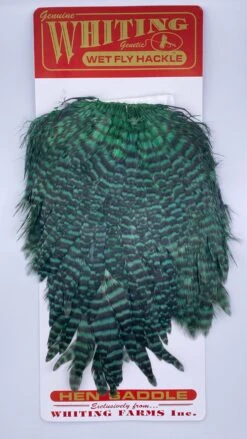 Whiting Red Label Hen Saddle -Angler Gear Shop IMG 9185