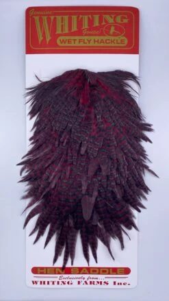 Whiting Red Label Hen Saddle -Angler Gear Shop IMG 9187