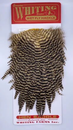 Whiting Red Label Hen Saddle -Angler Gear Shop IMG 9188