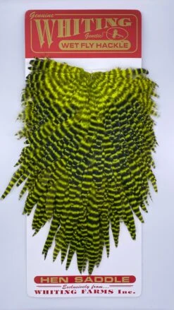 Whiting Red Label Hen Saddle -Angler Gear Shop IMG 9189