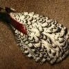 Lady Amherst Pheasant Complete Neck -Angler Gear Shop LadyAmherstcompleteneck