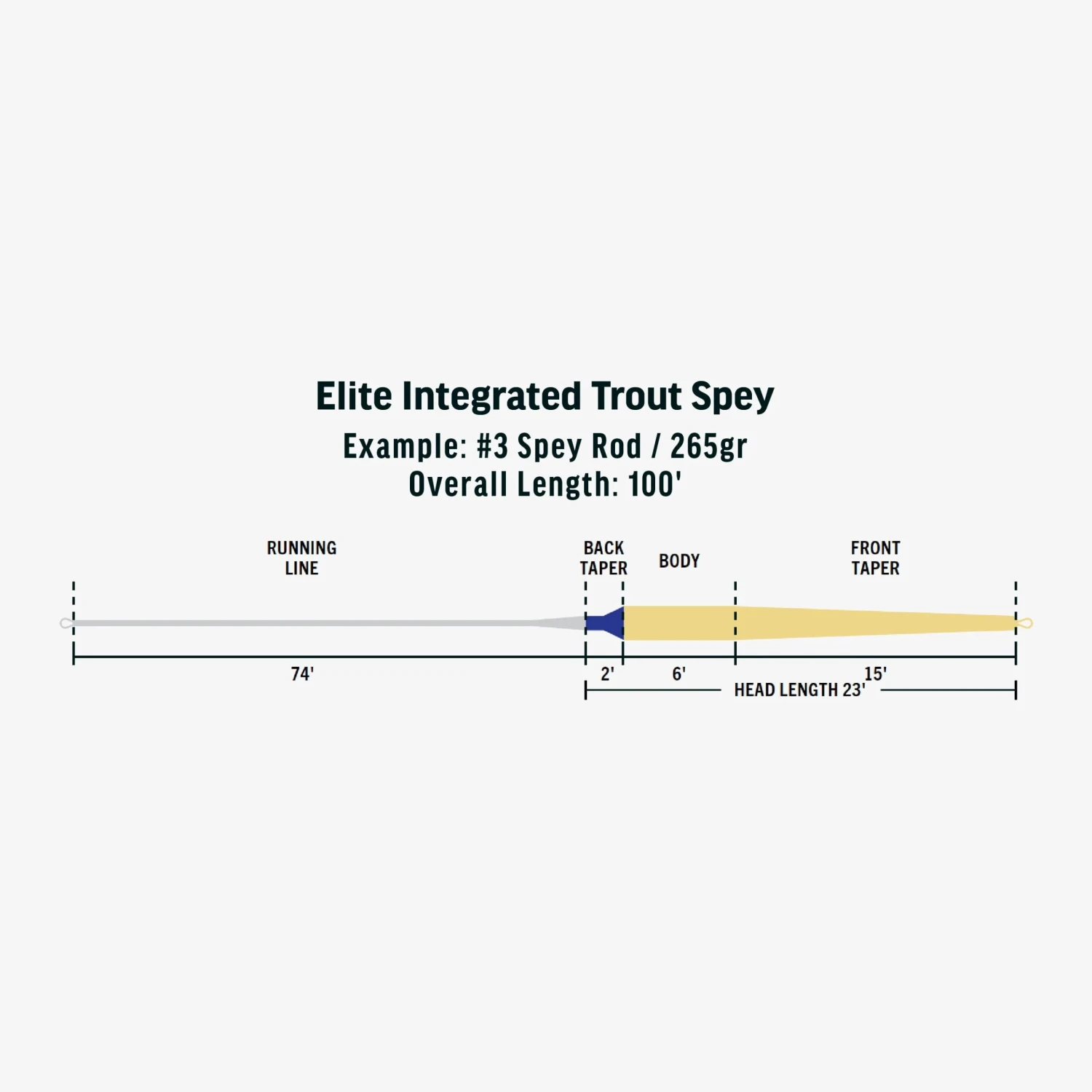 Rio - Elite Integrated Trout Spey Fly Line 5 Rio - Elite Integrated Trout Spey Fly Line - Image 3