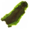 Wapsi Whole Pine Squirrel Skins -Angler Gear Shop SS2 2