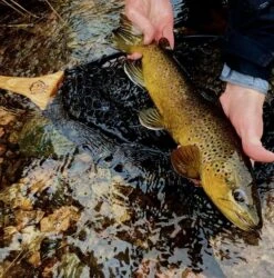 Hex Fly "Steel-Head" Reach Net -Angler Gear Shop reach3